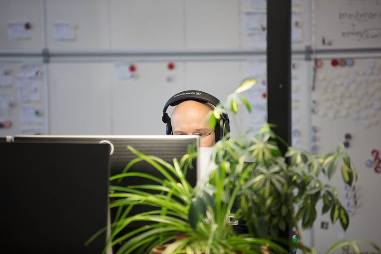 Ein Entwickler mit Kopfhörer blickt auf einen Bildschirm, im Vordergrund eine unscharfe Zimmerpflanze