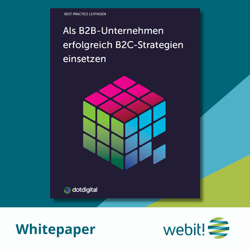 Whitepaper Teaser Als B2B Unternehmen erfolgreich B2C Strategien einsetzen
