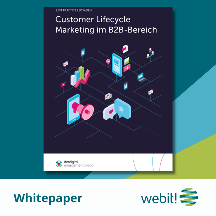Whitepaper Teaser Customer Lifecycle Marketing im B2B Bereich