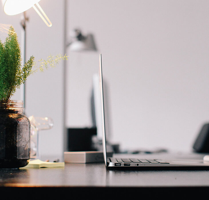 Profilansicht eines Laptops auf einem Schreibtisch. Links daneben steht eine Pflanze. 
